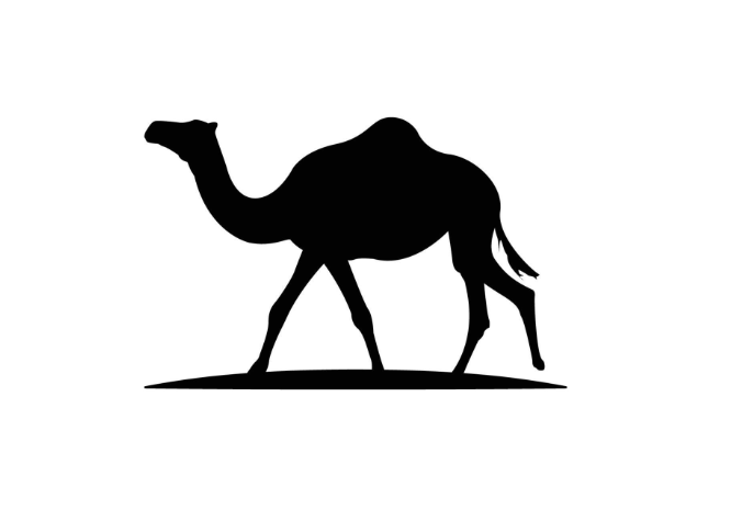ماعز
